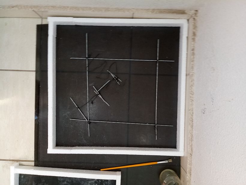 Maceta de concreto con planta calatea - Decoración de interiores