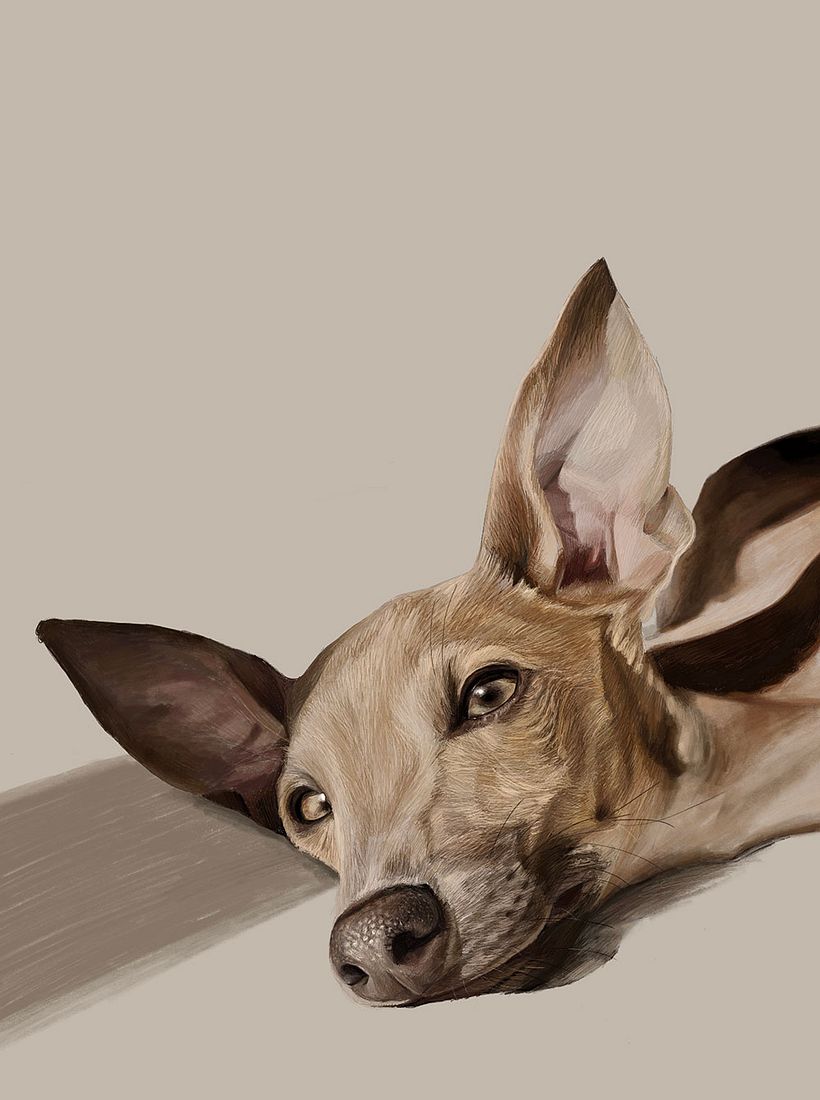 Retratos digitales con Procreate - Disegno