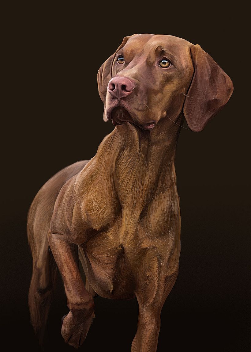 Retratos digitales con Procreate - Disegno