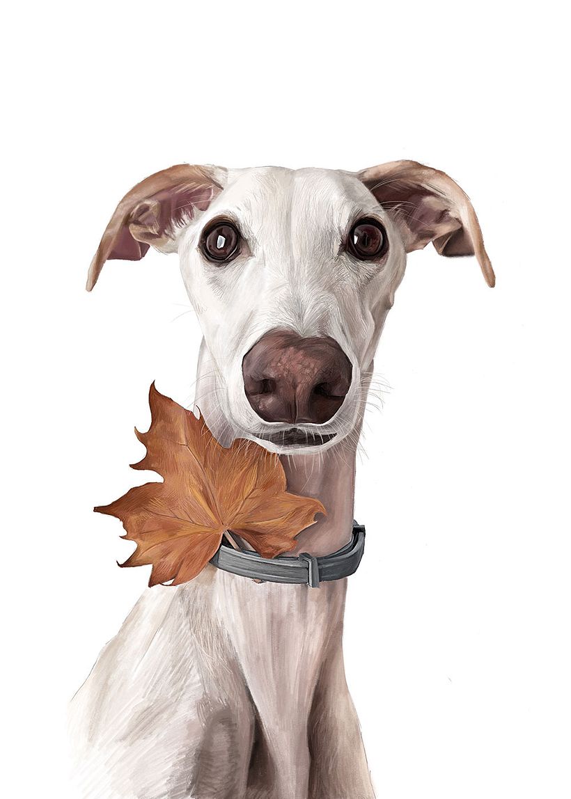 Retratos digitales con Procreate - Disegno