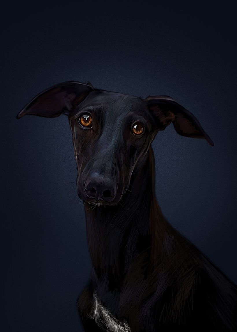 Retratos digitales con Procreate - Disegno