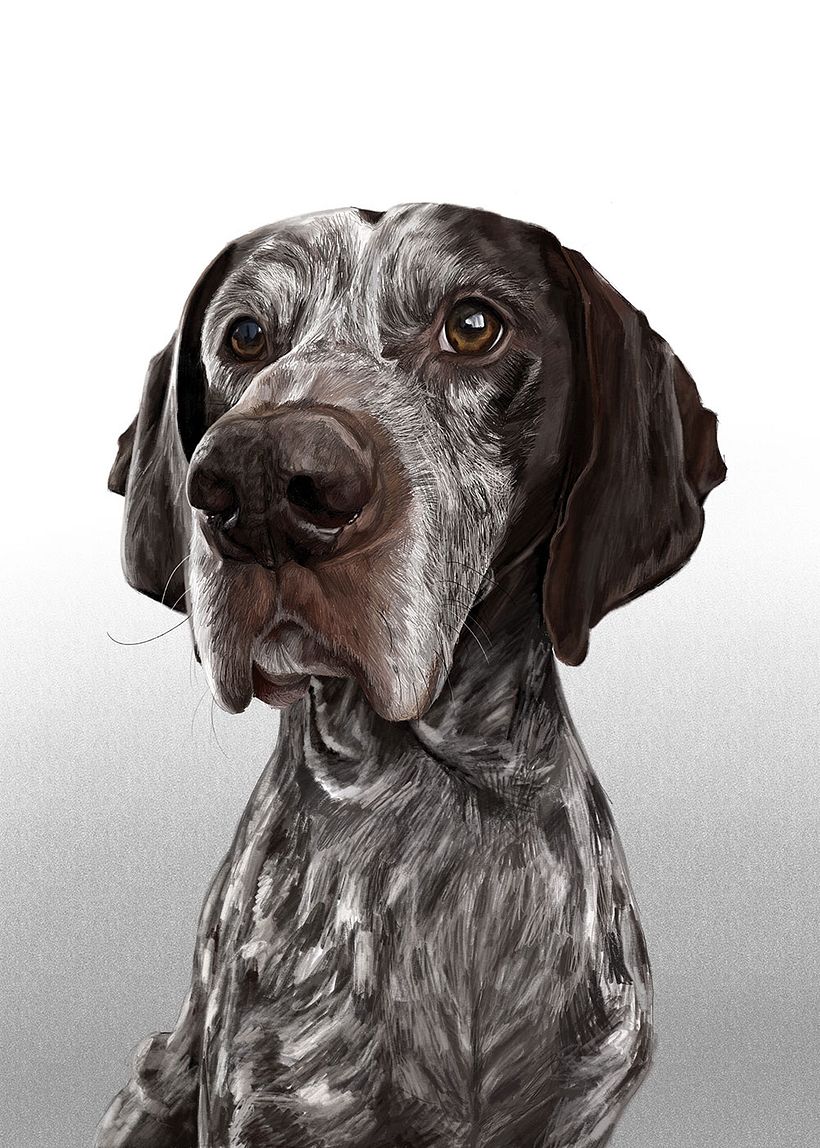 Retratos digitales con Procreate - Disegno