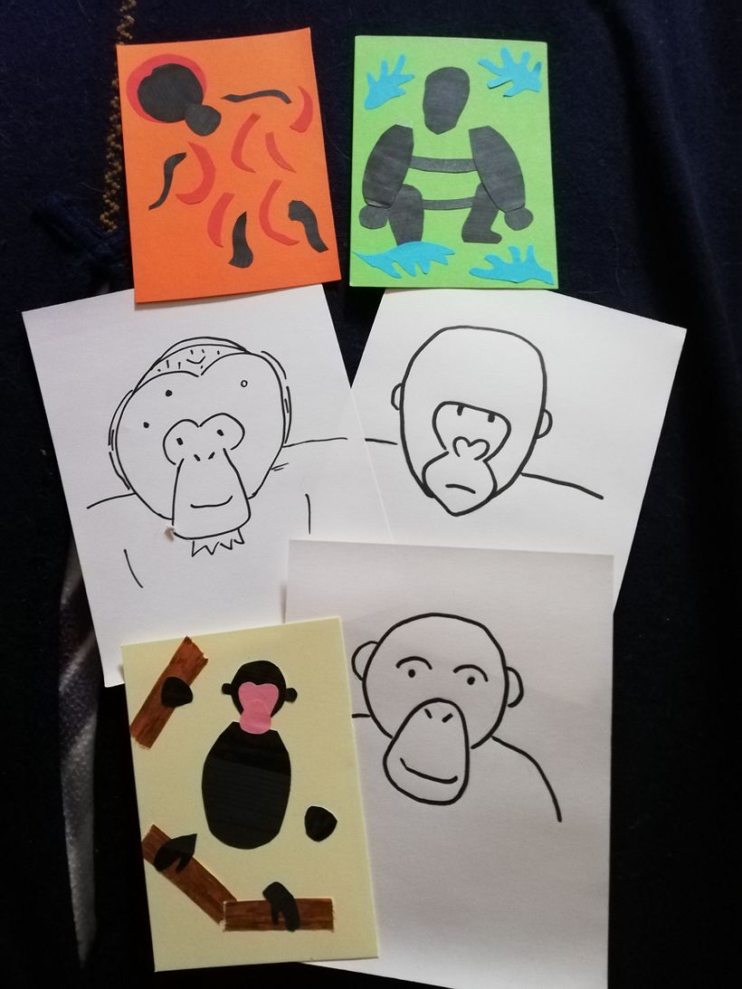 My project for the course 6