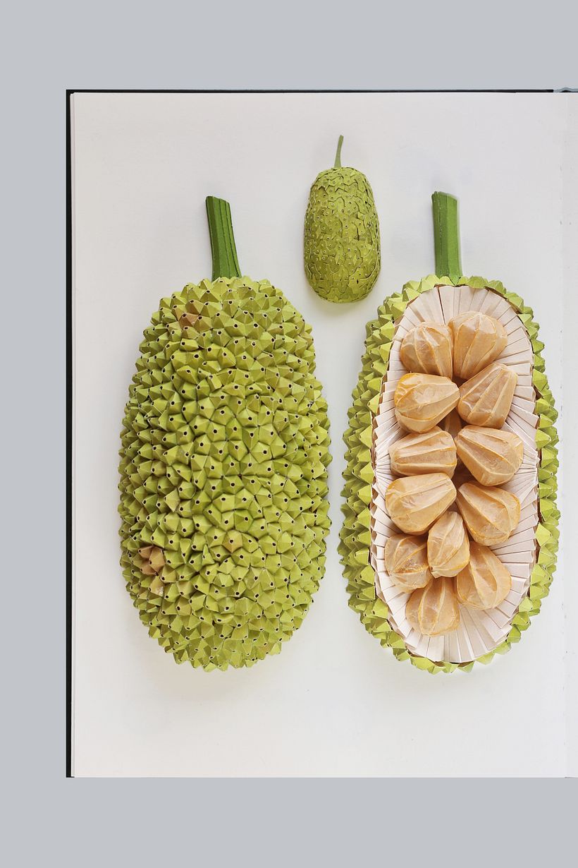 Cempedak fruit  4