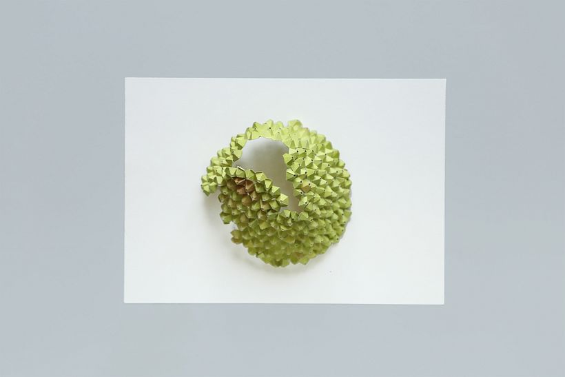 Cempedak fruit  3