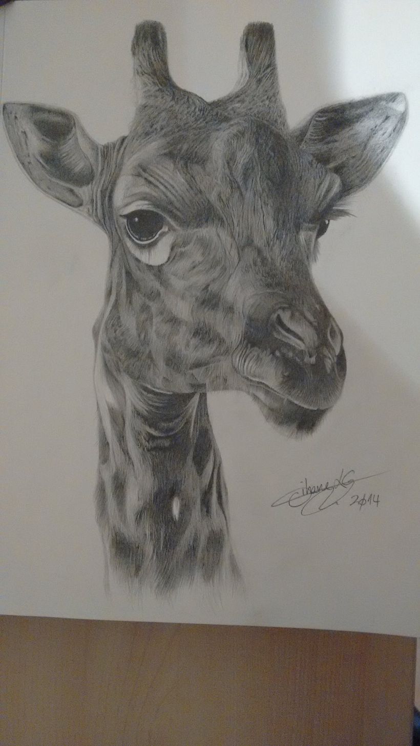 Sudafrica en un cuaderno 0