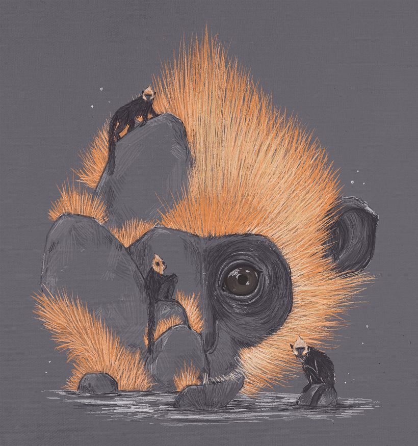 CAT BA LANGUR