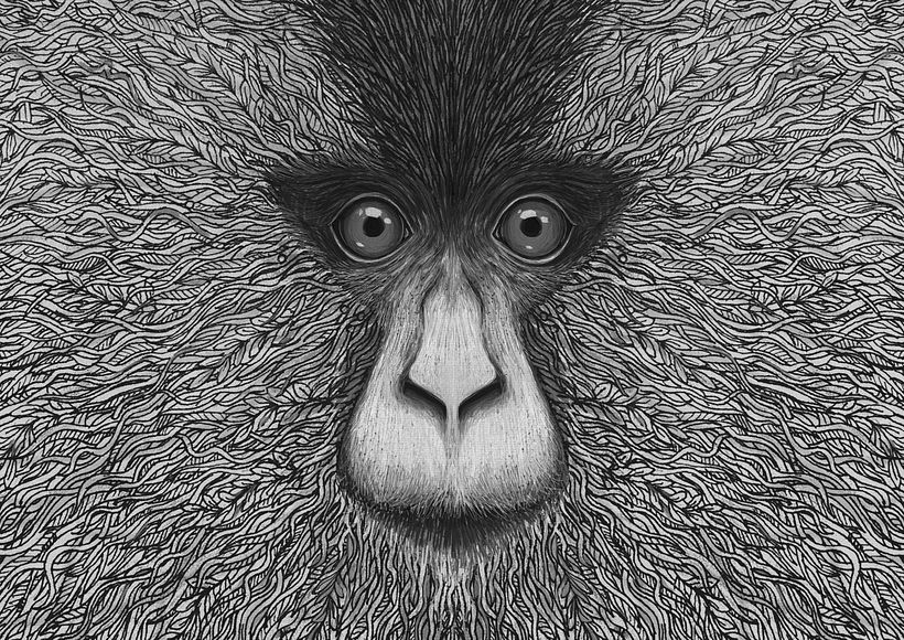 LION TAILED MACAQUE