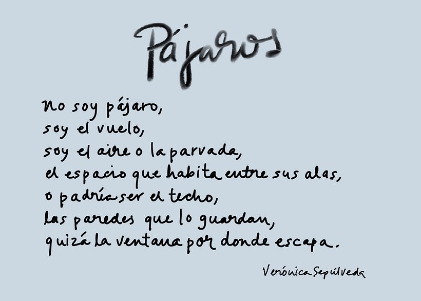 Pájaros - Montaje digital 2