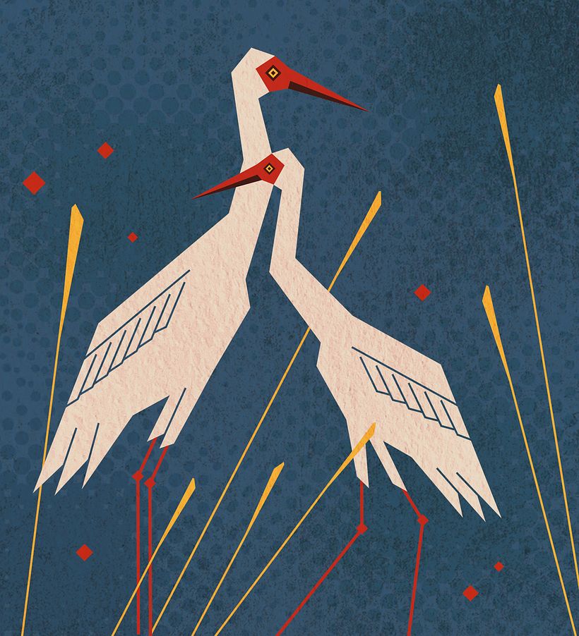 SIBERIAN CRANE