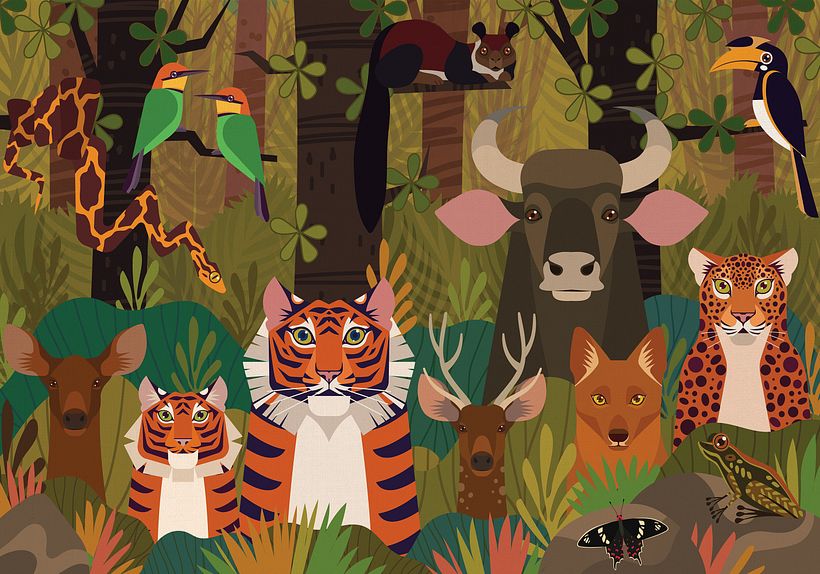 INDIAN FOREST