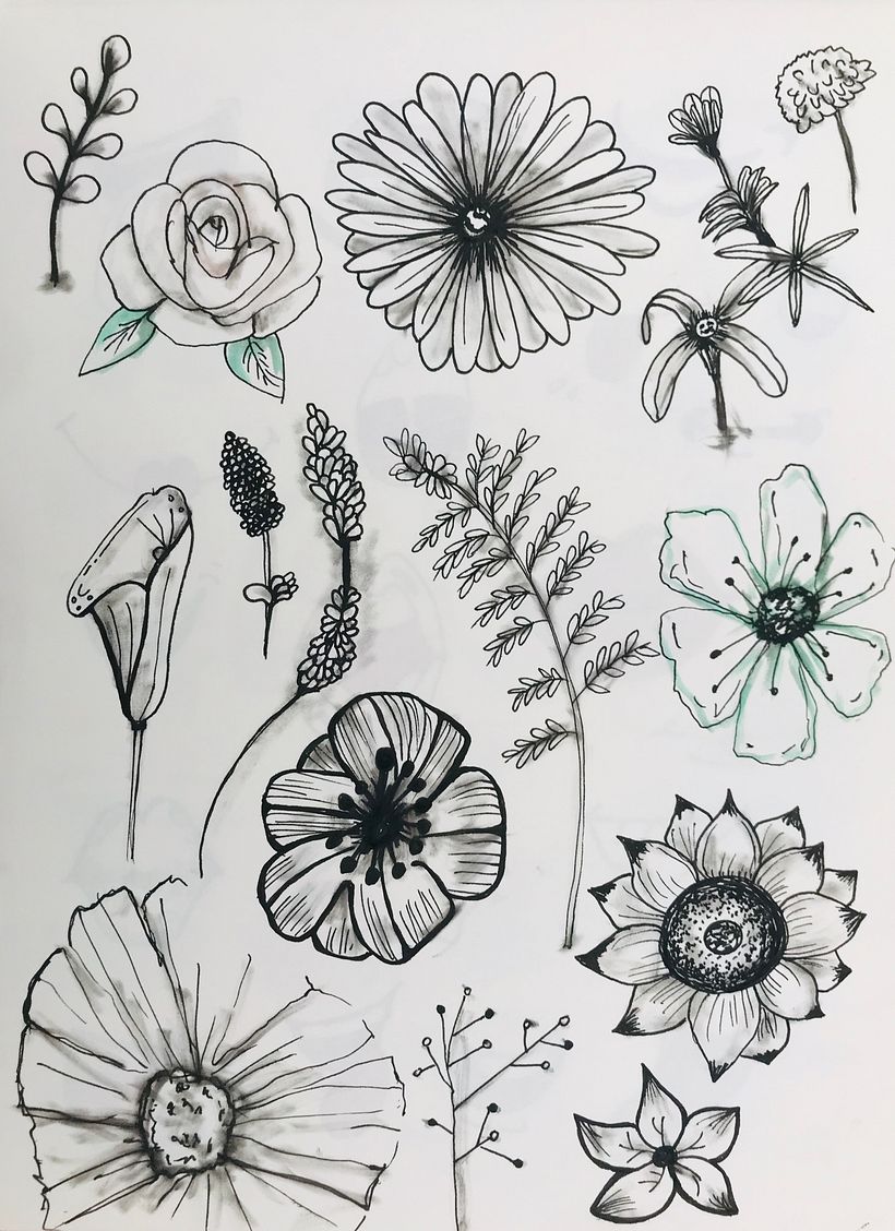 Pratique um dia, um tema: flores