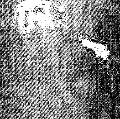 Muestra de descarga: textura, Jorge Arévalo