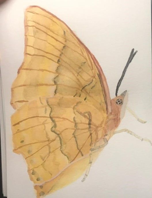 My project in Experimental Watercolor Techniques for Beginners course 3