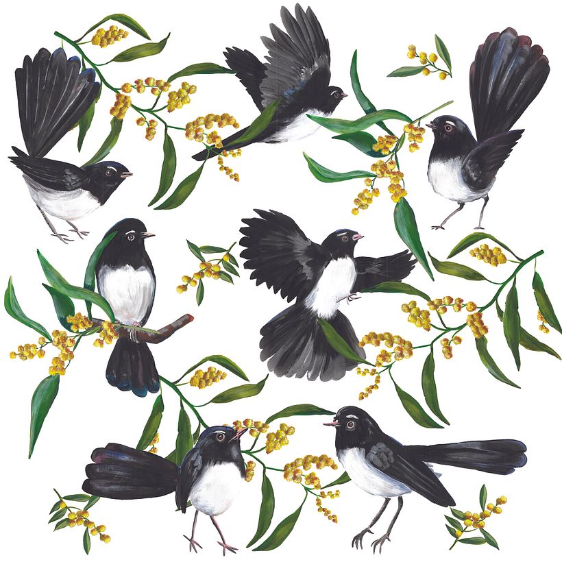 Willy Wag tails and Wattle