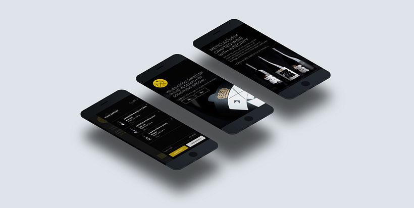 Expatrius Website 3