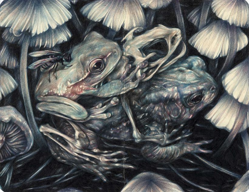Marco Mazzoni