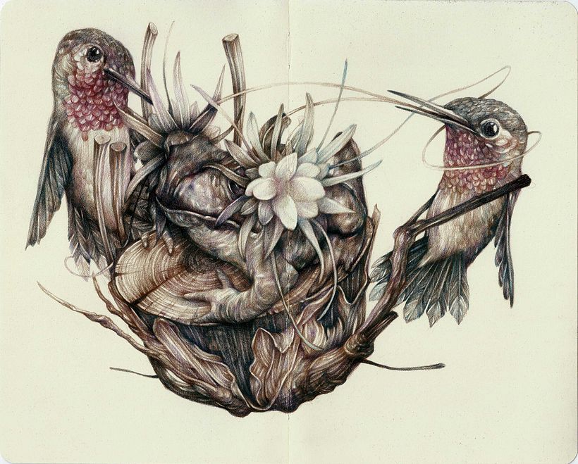 Marco Mazzoni