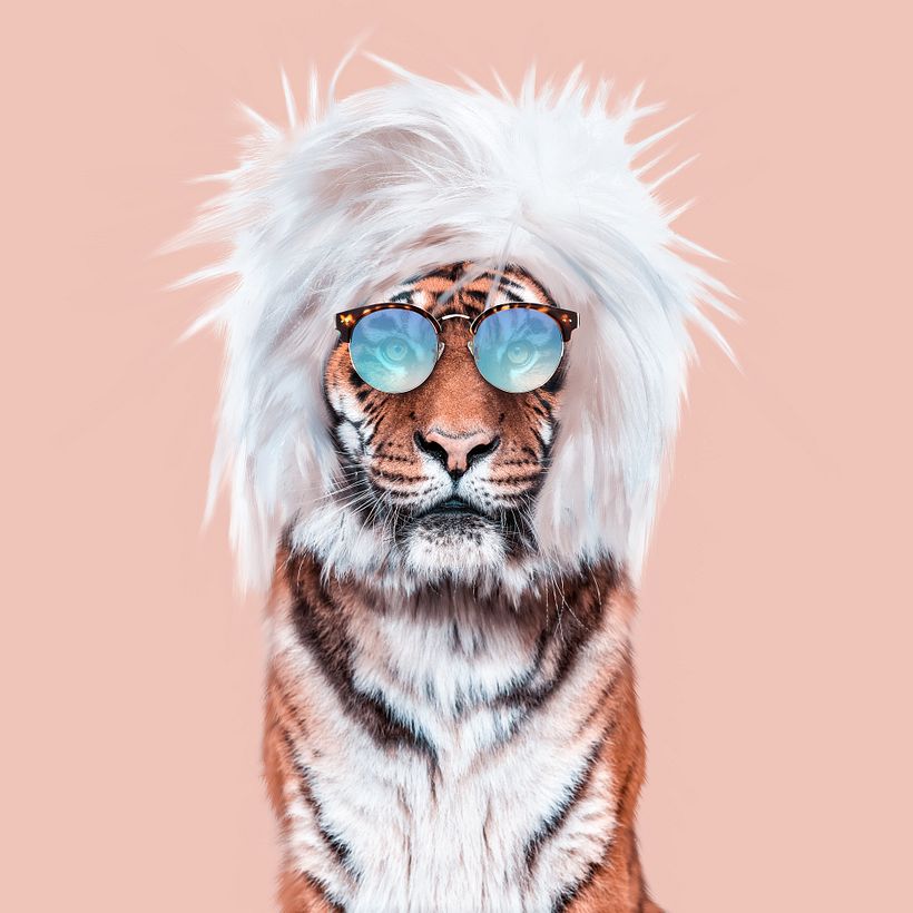 Pop Art Images 1