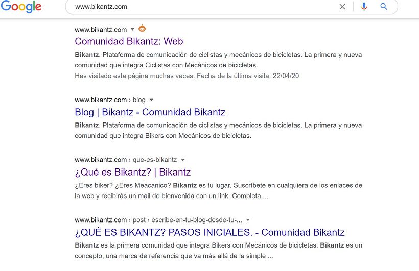 Búsqueda en Google de la web