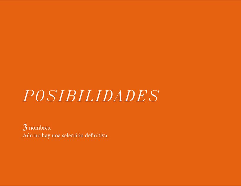Proyecto de naming para un estudio de diseño 11