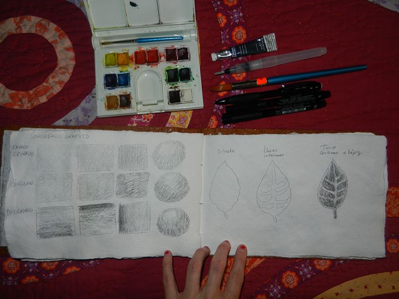 Mi Proyecto del curso: Ilustración de un diario naturalista 2