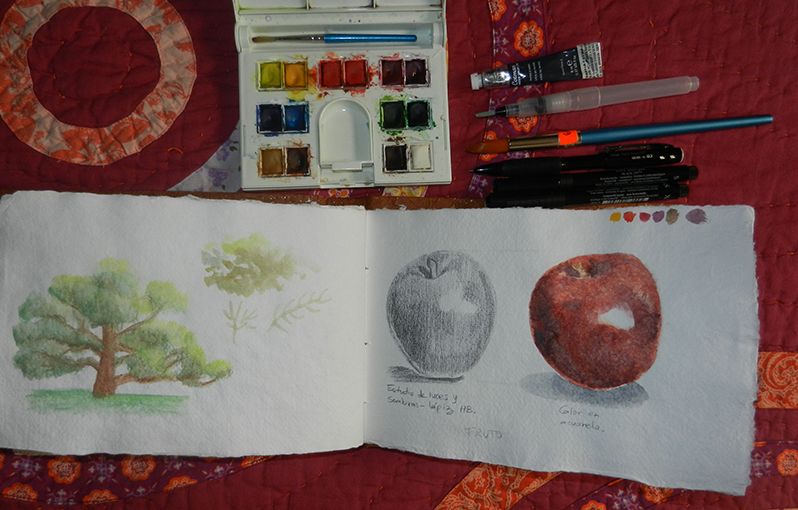 Mi Proyecto del curso: Ilustración de un diario naturalista 6