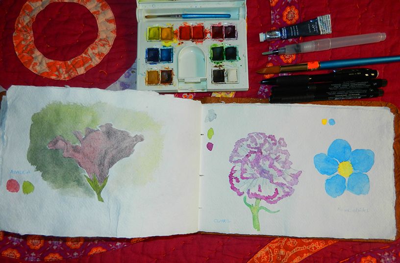 Mi Proyecto del curso: Ilustración de un diario naturalista 9