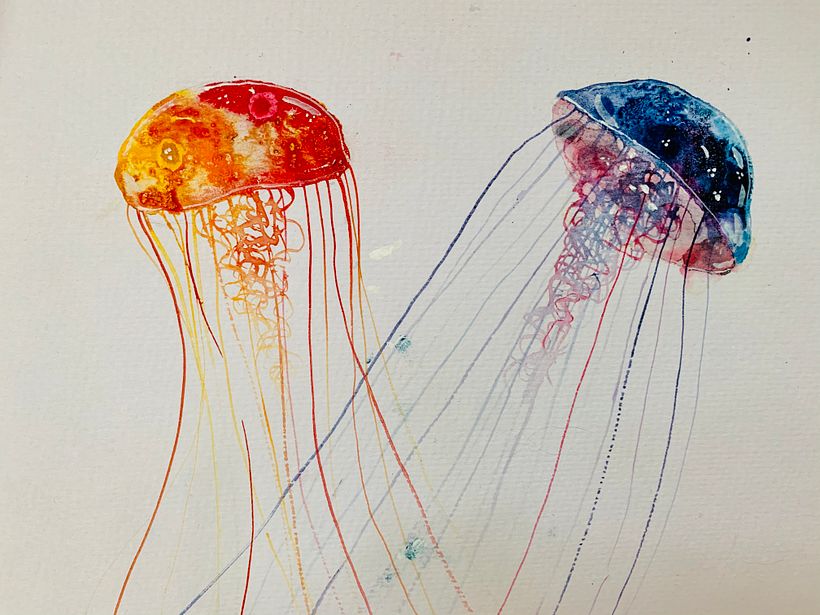 medusas 2: including some cat paws with blue paint (.. thank you Fred)