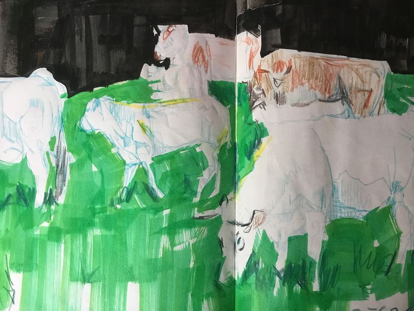 Mi Proyecto del curso: Entre personas y animales 1