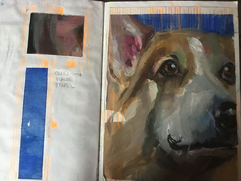 Mi Proyecto del curso: Entre personas y animales 2