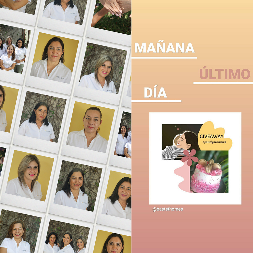 Mi Proyecto del curso: Bastet Homes Inmobiliaria  3