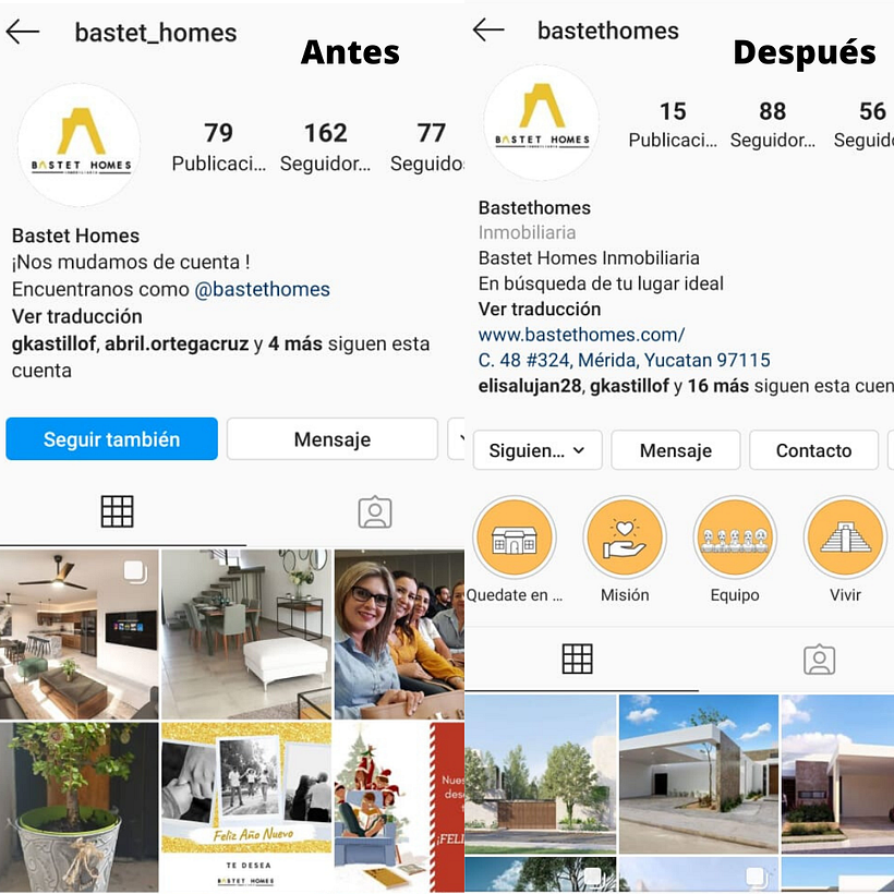 Mi Proyecto del curso: Bastet Homes Inmobiliaria  5