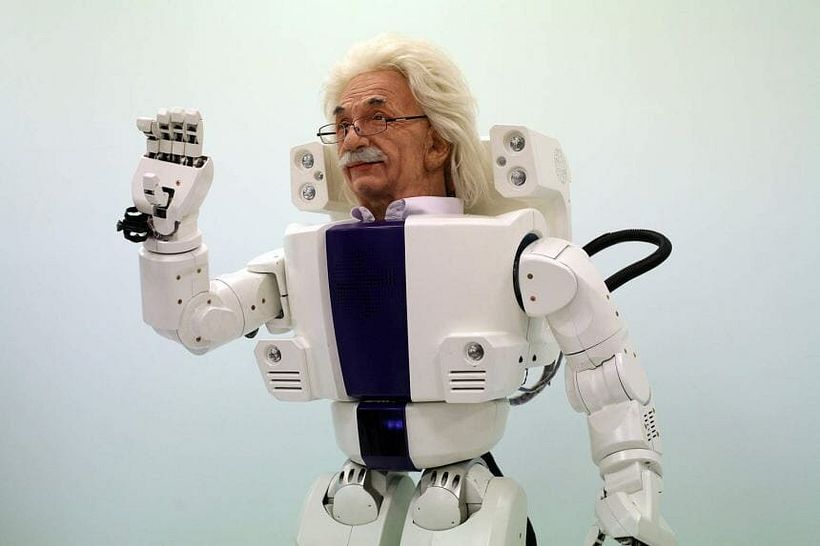 Einstein Hubo, Hanson Robotics