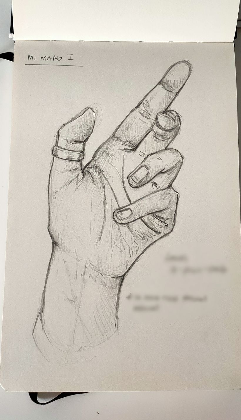 Mi Proyecto del curso: Dibujo para principiantes nivel -1 2