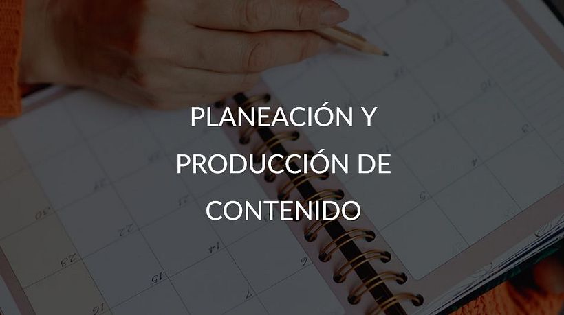 Mi Proyecto del curso: Introducción al community management 6