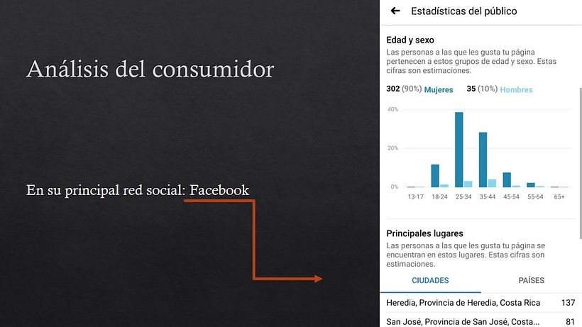Mi Proyecto del curso: Introducción al community management 4