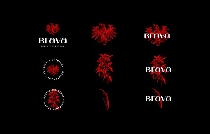Brava Branding - Ilustración tradicional