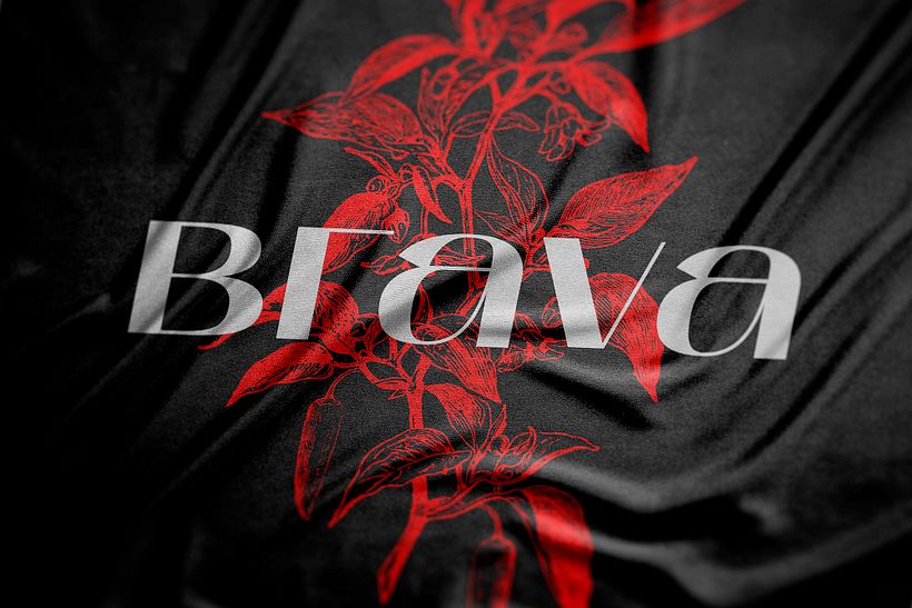 Brava Branding - Ilustración tradicional