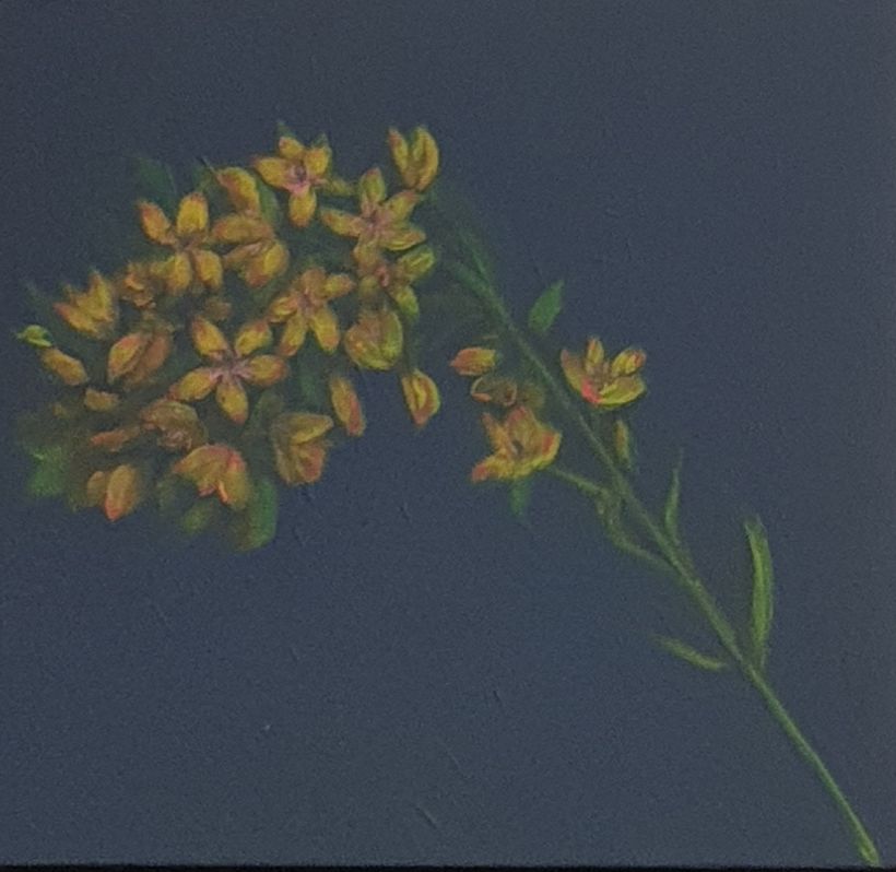 My project in Botanical Painting with Acrylic course 1