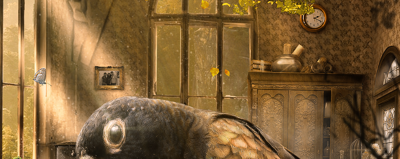Secretos del Fotomontaje y Retoque Creativo : Proyecto Poly Creative 1