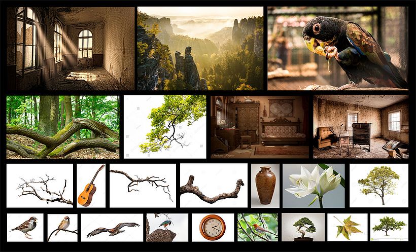 Secretos del Fotomontaje y Retoque Creativo : Proyecto Poly Creative 4