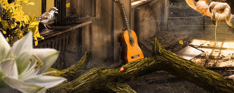 Secretos del Fotomontaje y Retoque Creativo : Proyecto Poly Creative 2