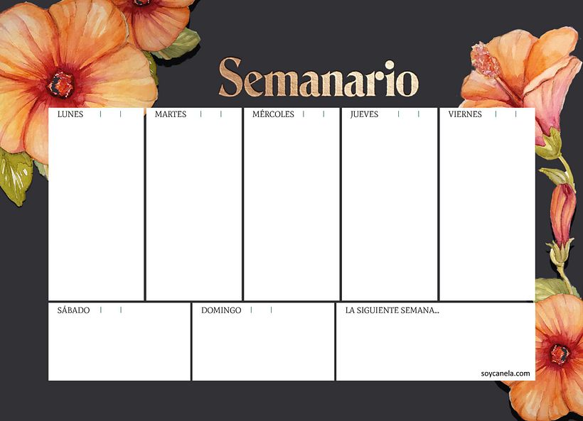 Semanario Layout