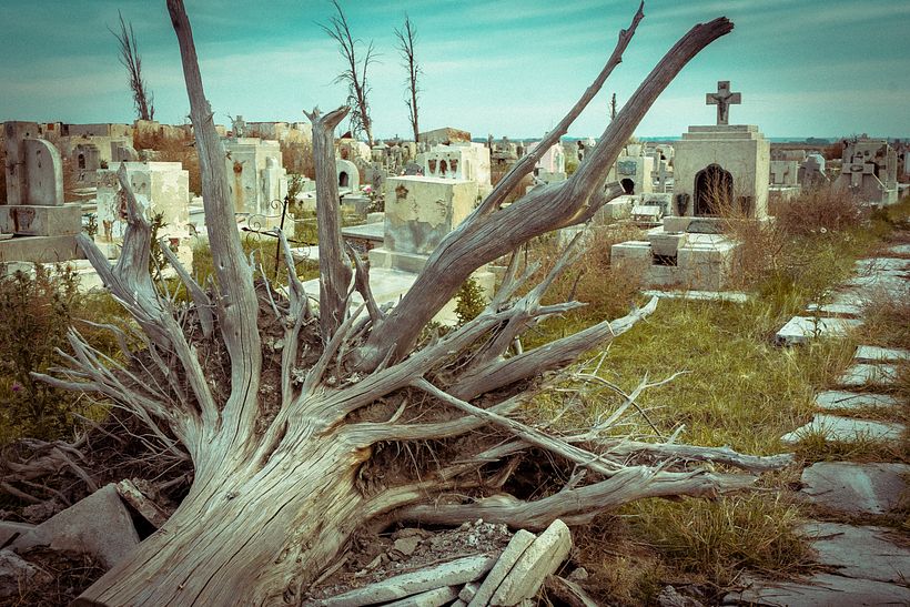 Mi Proyecto del curso: Revelado de archivos RAW con Lightroom 0