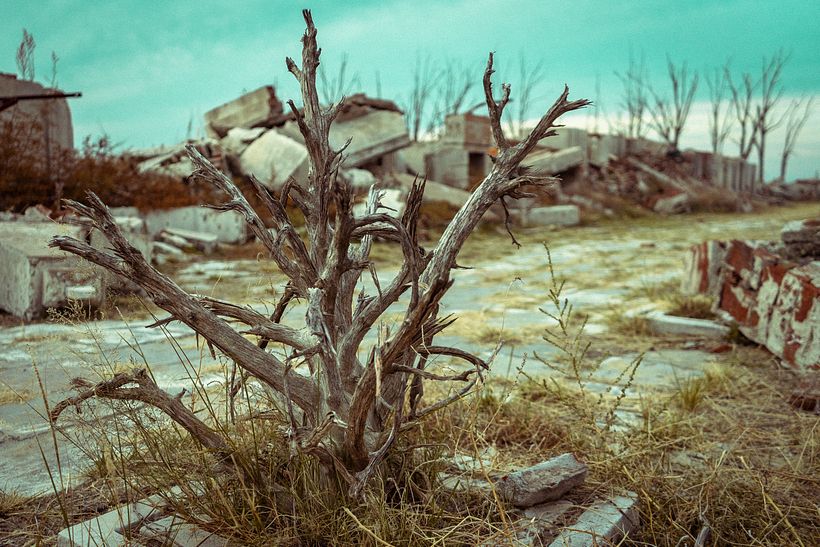 Mi Proyecto del curso: Revelado de archivos RAW con Lightroom 5