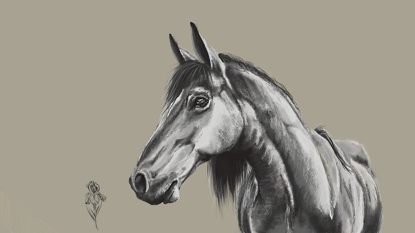 Horse Sketch 0