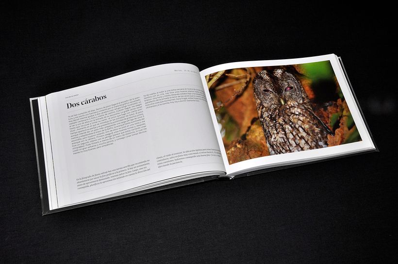 Cien días de soledad - Diseño editorial