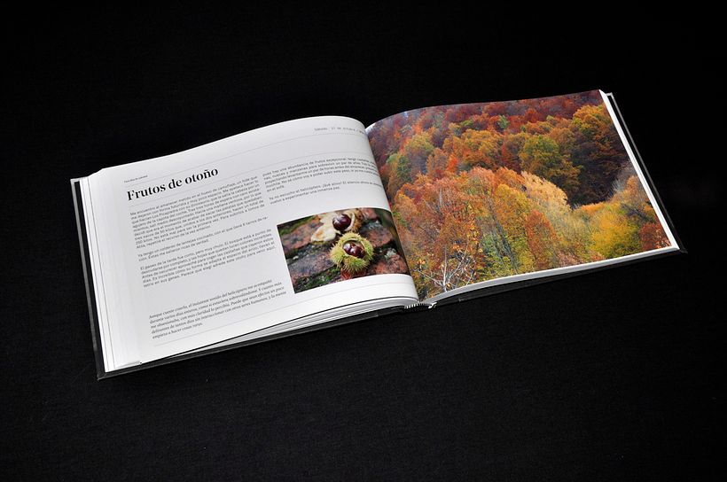 Cien días de soledad - Diseño editorial