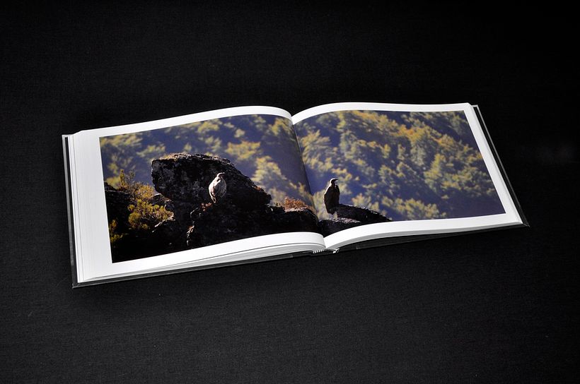 Cien días de soledad - Diseño editorial